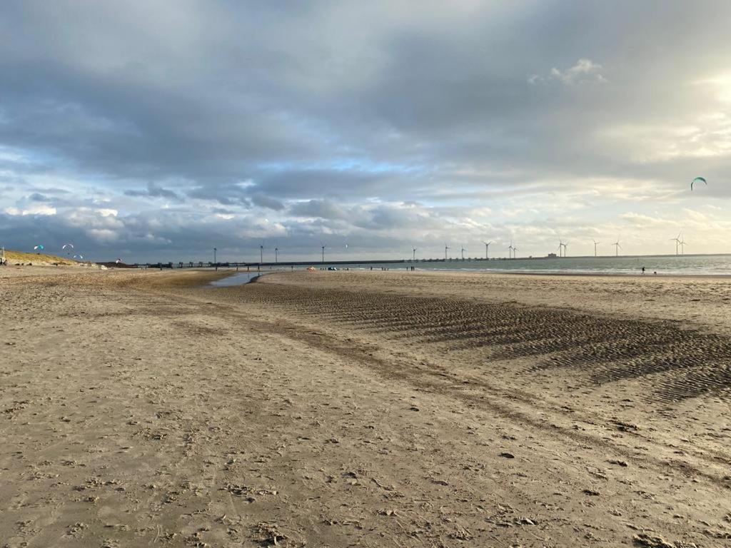 Gezellig Gastenverblijf In Het Centrum เบิร์กฮามสเตเดอ ภายนอก รูปภาพ