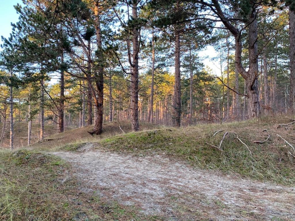 Gezellig Gastenverblijf In Het Centrum เบิร์กฮามสเตเดอ ภายนอก รูปภาพ